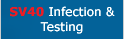 SV40 Infection and Testing